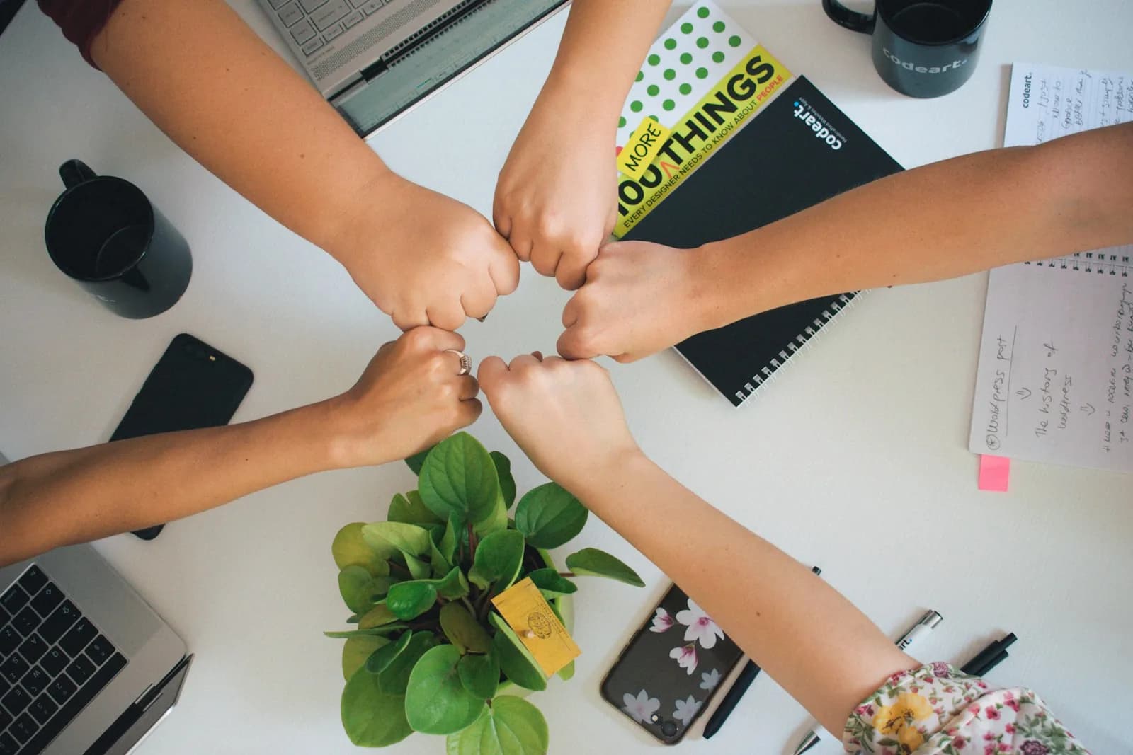 Product factory vs agency vs freelancer
